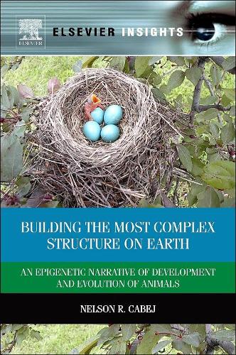 Building The Most Complex Structure On E