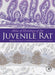 Atlas Of Histology Of The Juvenile Rat