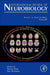 Imaging The Addicted Brain