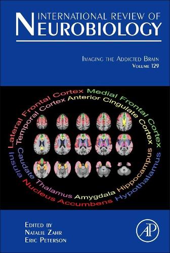 Imaging The Addicted Brain