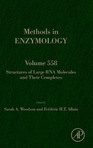 Structures of Large RNA Molecules and Their Complexes