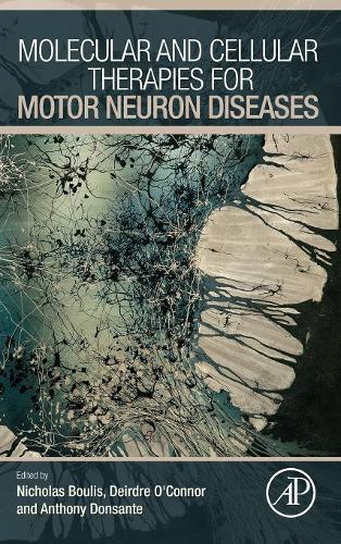 Molecular and Cellular Therapies for Motor Neuron Diseases