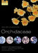 Anatomy of the Monocotyledons Volume X: Orchidaceae