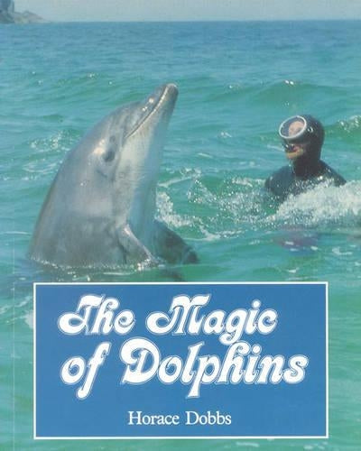 The Magic of Dolphins