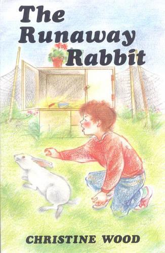 The Runaway Rabbit