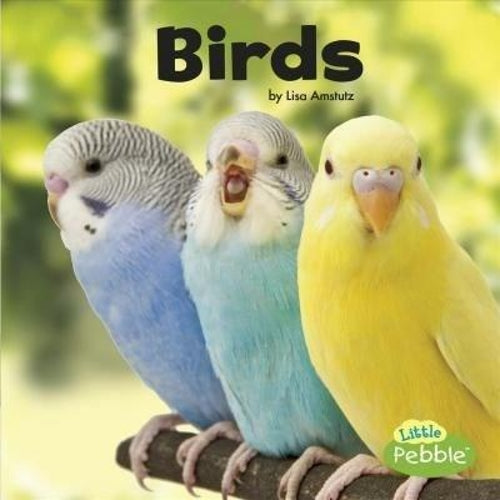 Our Pets Birds
