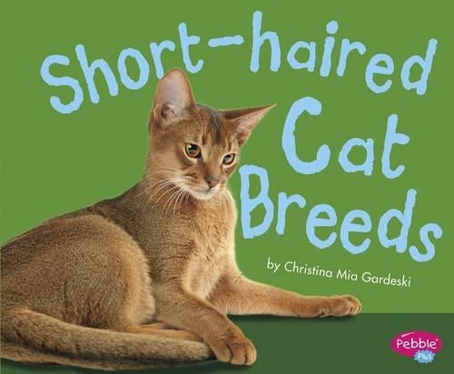 Long-Haired Cat Breeds