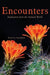 Encounters