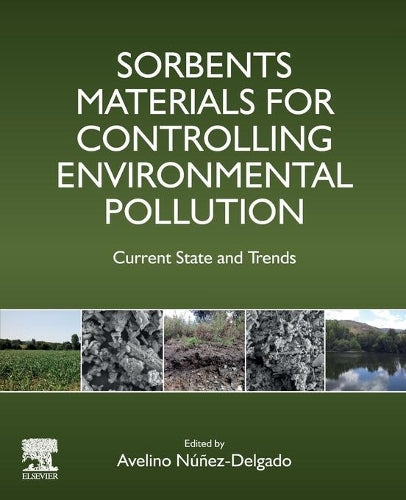 Sorbents Materials for Controlling Environmental Pollution