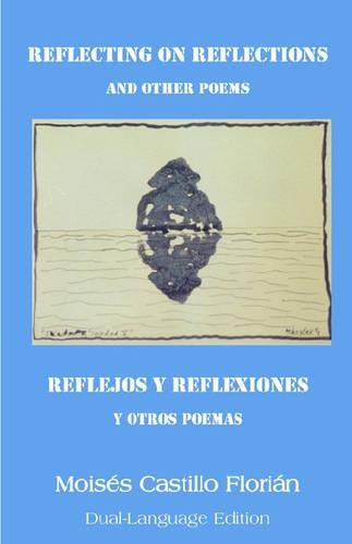 Reflecting on Reflections