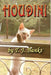 Houdini