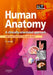 Human Anatomy