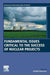 Fundamental Issues Critical to the Success of Nuclear Projects