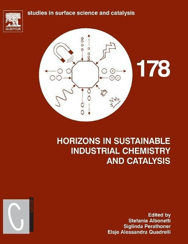 Horizons in Sustainable Industrial Chemistry and Catalysis