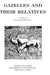 Gazelles and Their Relatives