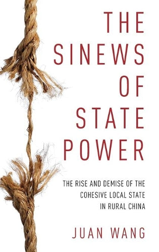 The Sinews of State Power
