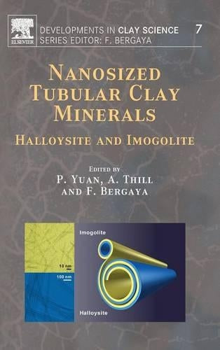 Nanosized Tubular Clay Minerals
