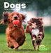 Our Pets Dogs