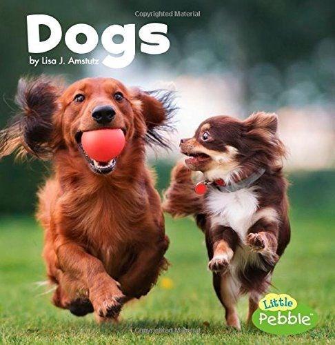 Our Pets Dogs