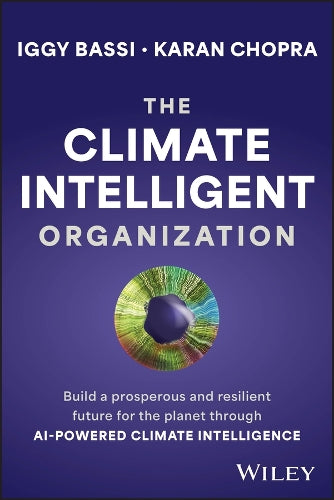 The Climate Intelligent Organization