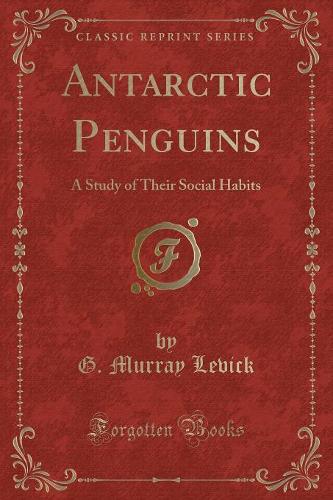Antarctic Penguins
