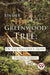 Under the Greenwood Tree