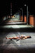Homicide