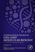 Viral Vectors in Cancer Immunotherapy