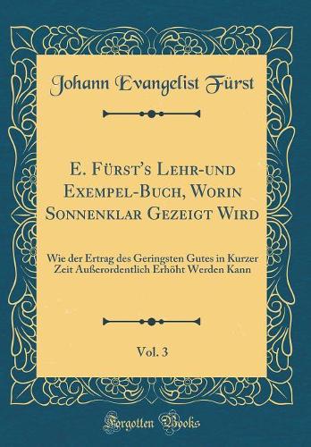 E. Fürst's Lehr-Und Exempel-Buch, Worin Sonnenklar Gezeigt Wird, Vol. 3