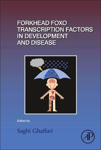 Forkhead FOXO Transcription Factors in Development and Disease
