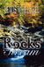 Rocks in the Stream