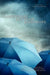Somewhere Between Raindrops