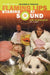 Staring at Sound: The True Story of Oklahoma's Fabulous Flaming Lips