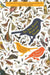 To See Every Bird on Earth