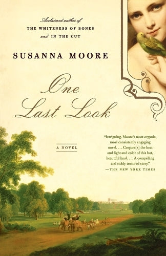 One Last Look: A Novel (Vintage Contemporaries