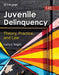 Juvenile Delinquency: Theory, Practice, and Law