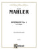 Symphony No. 1 in D Major