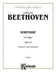 Serenade, Op. 25