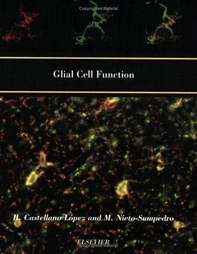 Glial Cell Function (Paperback)