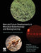 New and Future Developments in Microbial Biotechnology and Bioengineering