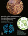 New and Future Developments in Microbial Biotechnology and Bioengineering