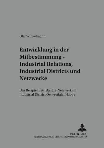 Entwicklung in der Mitbestimmung – Industrial Relations, Industrial Districts und Netzwerke
