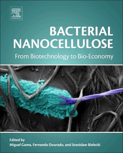 Bacterial Nanocellulose