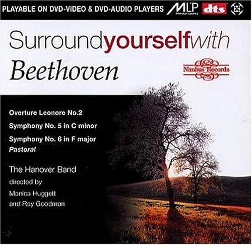 Surround Yourself With Beethoven (Huggett, Goodman)