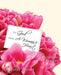 To: God, from: a Woman's Heart