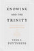 Knowing and the Trinity
