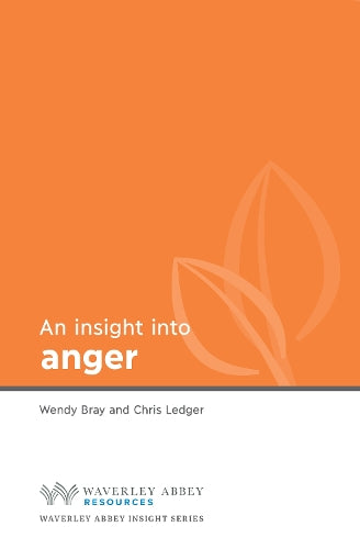 Insight into Anger