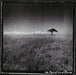 Kevin Martin & The Hiwatts-The Possibility Of Bein
