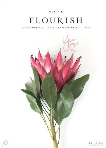 Flourish Mentor Journal, Year One