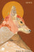 Coyote